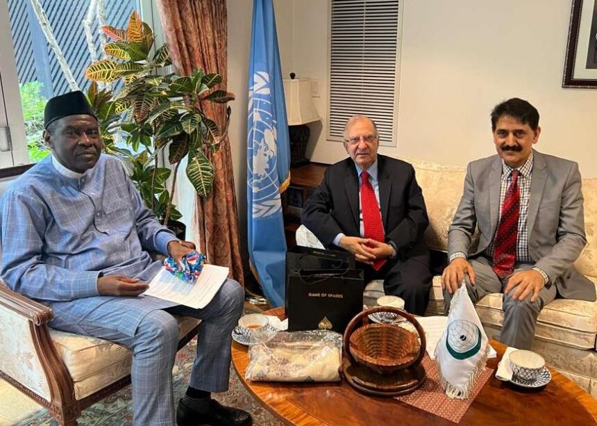OIC meeting at the UN on the Kashmir dispute