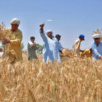 PTI Farmers Wing Demands Immediate Fuel Price Cut, Restoration of Farmers' Subsidy