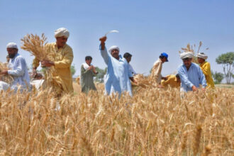 PTI Farmers Wing Demands Immediate Fuel Price Cut, Restoration of Farmers' Subsidy