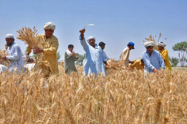 PTI Farmers Wing Demands Immediate Fuel Price Cut, Restoration of Farmers' Subsidy