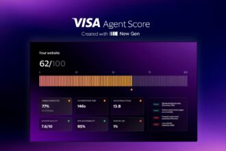 Visa stablecoin tools and AI capabilities in CEMEA
