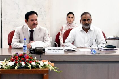 privilege committee - National Assembly privilege committee reviews amendments