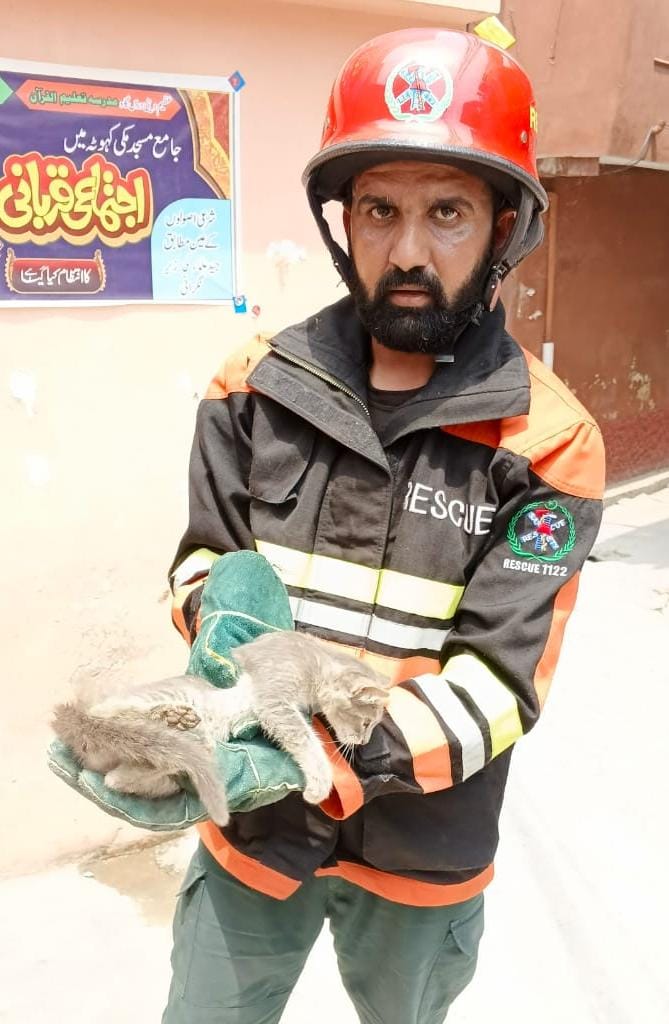 Kahuta Rescue 1122 Safely Rescues Cat Trapped in 60-Foot-Deep Well