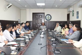 Consultative meeting on guidelines for hair restoration and aesthetic centres