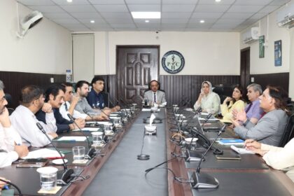Consultative meeting on guidelines for hair restoration and aesthetic centres