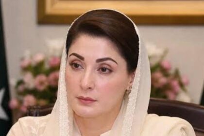 Clean Punjab Foundation for Healthy and Prosperous Future, CM Maryam Nawaz