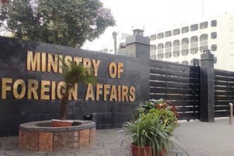Deputy PM Forms Three-Member Committee to Probe Document Verification System