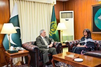 Foreign Secretary Amna Baloch Retires from Government Service