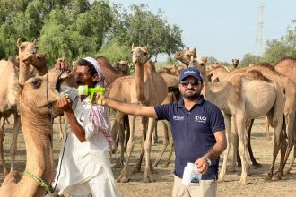 Free Veterinary Camp Treats Over 400 Animals in Islamkot