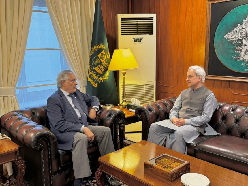 Ishaq Dar Receives Farewell Call from Ambassador Tahir Andrabi