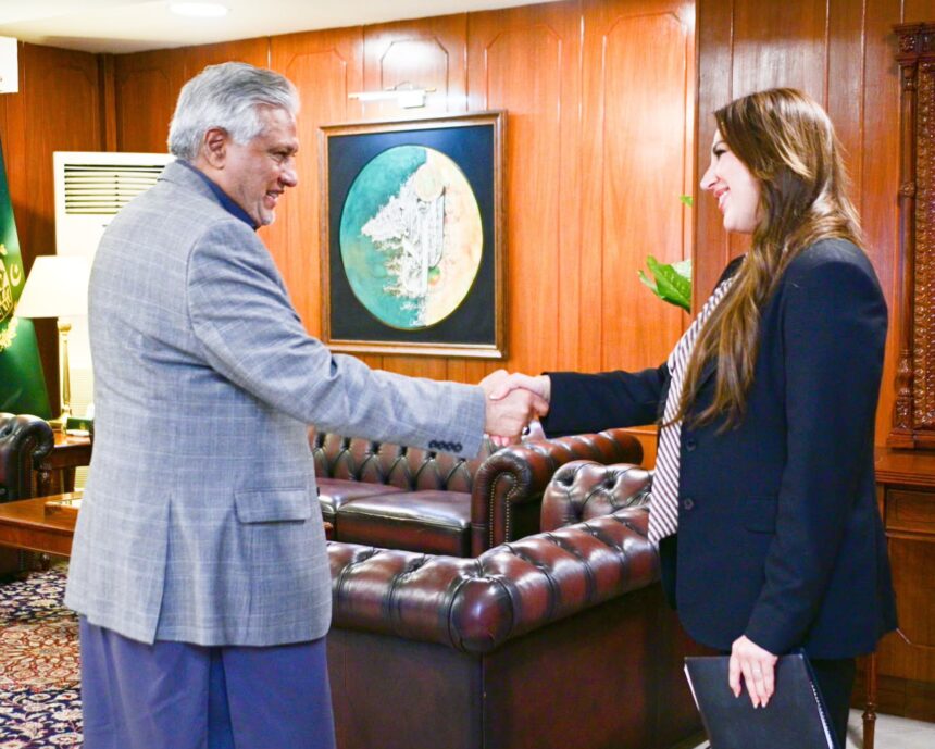 Ishaq Dar US Chargé d’Affaires Discuss Bilateral Cooperation, Regional Developments