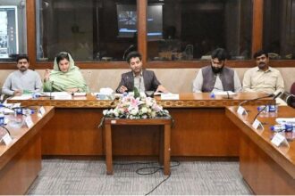 Parliamentary Affairs Committee Reviews Cyber Fraud, Public Grievances