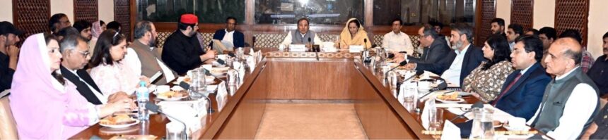 Senate Committee Reviews Inter-Provincial Security, Transit Issues