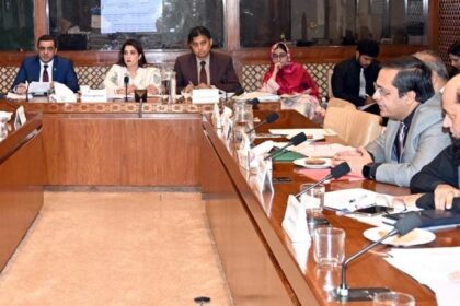 Senate IT Committee Reviews Telecom Rules, Rs172bn Call-Centre Fraud