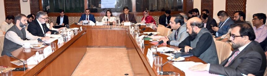 Senate IT Committee Reviews Telecom Rules, Rs172bn Call-Centre Fraud