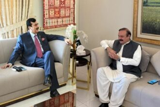 Tariq Fazal Chaudhry Calls on Senate Chairman Yousaf Raza Gilani
