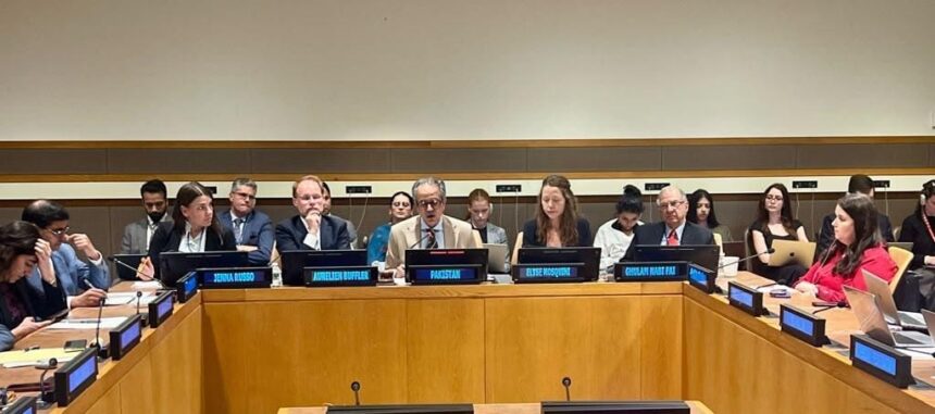 UNSC Arria-Formula Meeting Stresses Universal Implementation of International Law