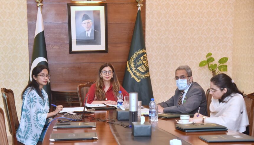 Ambassador Ayesha Ali, Lithuanian Vice Minister Vidmantas Verbickas Lead Eighth Round of Pakistan-Lithuania Talks