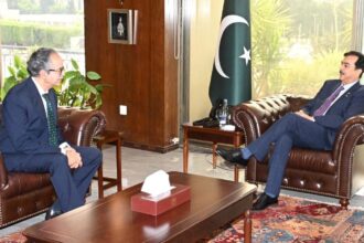 Foreign Secretary Asim Iftikhar Ahmad Calls on Senate Chairman Yousuf Raza Gilani