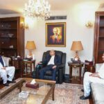 Governor Khyber Pakhtunkhwa, Interior Minister Meet President Asif Ali Zardari to Discuss Security Situation