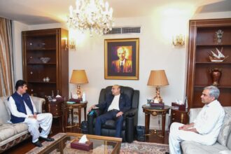 Governor Khyber Pakhtunkhwa, Interior Minister Meet President Asif Ali Zardari to Discuss Security Situation