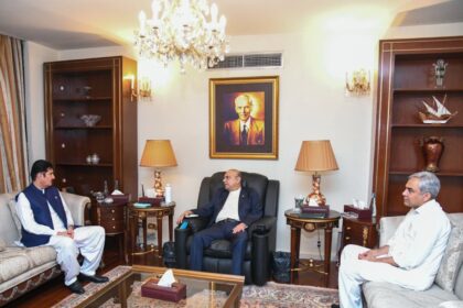 Governor Khyber Pakhtunkhwa, Interior Minister Meet President Asif Ali Zardari to Discuss Security Situation
