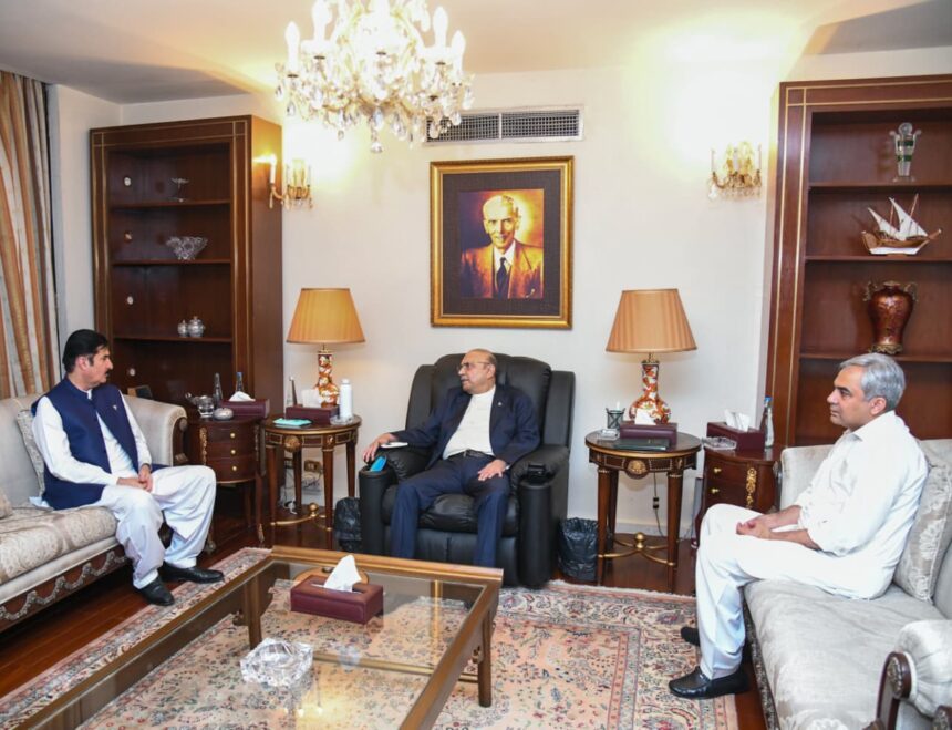Governor Khyber Pakhtunkhwa, Interior Minister Meet President Asif Ali Zardari to Discuss Security Situation