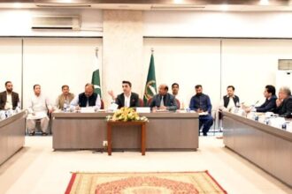 NA Committee on Petroleum Reviews Fuel Pricing, Refinery Upgradation and Gas Sector Issues
