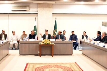 NA Committee on Petroleum Reviews Fuel Pricing, Refinery Upgradation and Gas Sector Issues