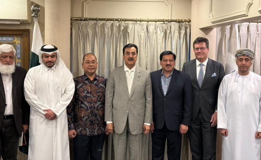 Pakistan-Africa Trade, Investment Cooperation Discussed at Karachi Luncheon