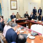 PM Shehbaz Announces National Award for Shaza Fatima as Fuel Subsidy Beneficiaries Cross 10 Million