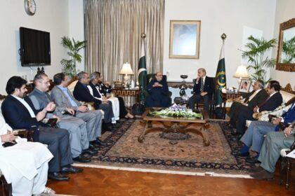 President Zardari and PM Shehbaz Discuss Political and Security Situation