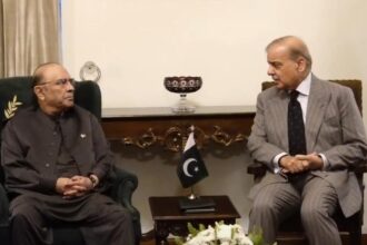 President Zardari, PM Shehbaz Sharif Discuss Political and Security Situation