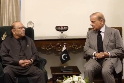 President Zardari, PM Shehbaz Sharif Discuss Political and Security Situation