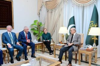 Russian Interior Minister Vladimir Kolokoltsev Calls on Prime Minister Shehbaz Sharif